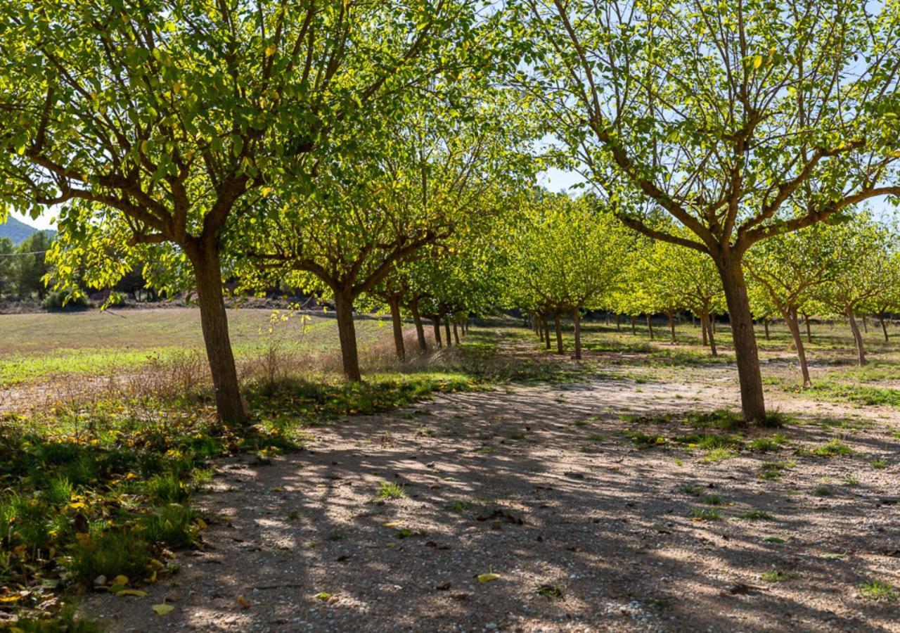 Masia Aubareda San Martín de Tous Exterior foto